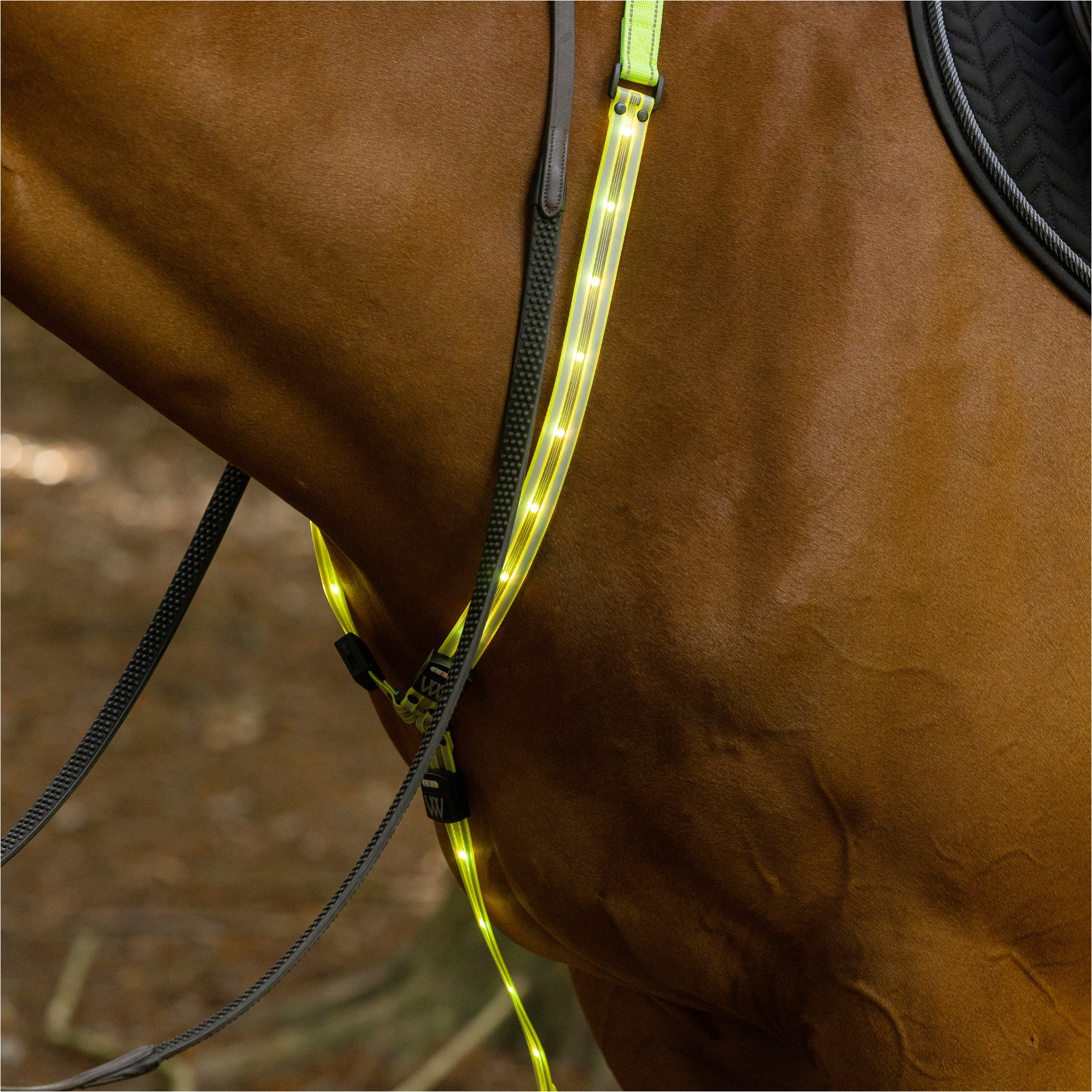 2025 Woof Wear LED Neck Band WS0035 - Hi Viz